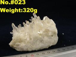 武陵 風水透視POD 平裝(梁貴博) 育林出版社蝦皮商城 歷史價格詳細信息