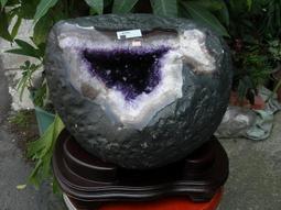 便宜出清 拉拉熊絨毛後背包/雙肩包/雙肩後背包〜現貨九成新 歷史價格詳細信息