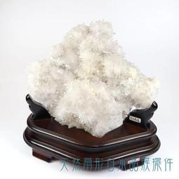 天然扇形貝殼日月蛤海螺彩色白色貝殼魚缸水族造景創意餐飲盤子 歷史價格詳細信息