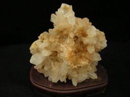 直購品 短裙 新款歐美時尚時裝週經典緹花蓬蓬大裙擺碎花短裙 歷史價格詳細信息