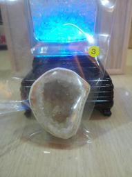 N0203 【東京熱TokyoHot】小野悠美 大量中出し強制飲尿便器 歷史價格詳細信息