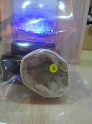 摩洛哥白水晶洞球 開口笑 水晶 原礦 晶洞球聚寶球 ✨滿滿結晶花 璀璨閃耀 晶牙水透閃亮無敵 #實體更閃耀 小夜燈觀賞雪晶花 歷史價格詳細信息