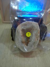 N0607 【東京熱】中文 / 渚 崩壊恐怖の東熱チンポビル 歷史價格詳細信息