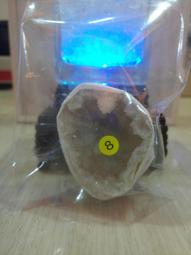 N0208 【東京熱TokyoHot】 中田恵理 偏差値25馬鹿女鬼中出し 歷史價格詳細信息