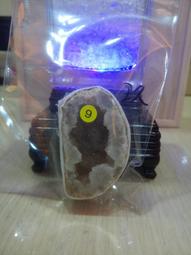 N0809 【東京熱】中文 / 東熱大乱交 / AIKA、稻川なつめ、愛乃なみ、明日香クレア 歷史價格詳細信息