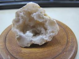 3604 color CRUISE大型曬衣夾-5入(3組) 歷史價格詳細信息