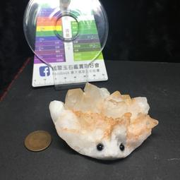 小刺蝟編織包 毛線包成品 斜背包斜背包手提包零錢包小包包可愛精緻百搭-時尚箱包 歷史價格詳細信息