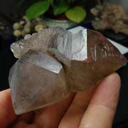 礦業馬達警報器 MS-590報警器 高分貝喇叭 大功率雙向防空報警器 歷史價格詳細信息