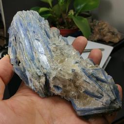 DA155 明治十年 龍五錢銀幣 共3枚 歷史價格詳細信息