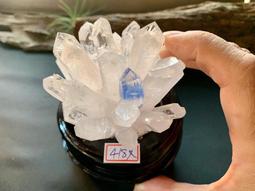 白水晶天使 7cm｜手工品，隨機出貨【左西購物網】 歷史價格詳細信息