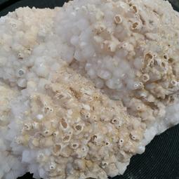 波羅骨幹水晶原礦-......vs.......................................白水晶球 歷史價格詳細信息