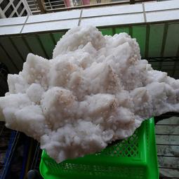 友情22W 吸入式捕蚊燈VF-2711 飛利浦燈管 歷史價格詳細信息