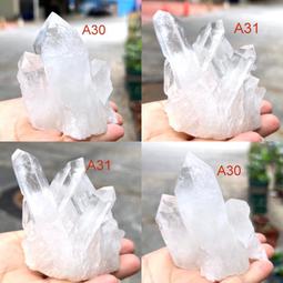 白雪 亮透環保洗碗精4000ml*2入 歷史價格詳細信息