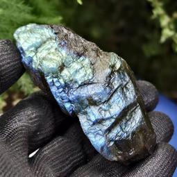 D3688 葉脈上的蝴蝶 白辛 水牛出版 民國57 歷史價格詳細信息