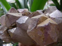 晶簇超閃耳釘男s925銀潮流個性學生耳飾簡約氣質女高級感2023新款 歷史價格詳細信息