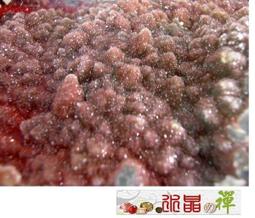 水晶の禪《傳家典藏㊣僅供欣賞》帶夢幻微燻酒紅紫色澤 烏拉圭變種輪狀 紫晶轉運輪 歷史價格詳細信息