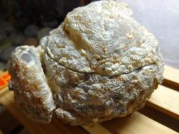 兆鑫生活館-大清宣統三年銀幣(純銀銀元26.5g) 歷史價格詳細信息