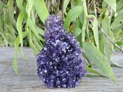 高王晶____烏拉圭紫水晶片___淨重 : 278.4公克____跨越文昌系列..071 歷史價格詳細信息