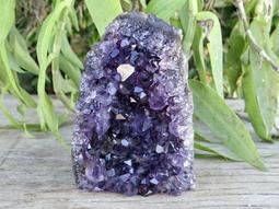 #053 高清三合一  兒童看牙內窺鏡 掏耳朵神器 嬰兒掏耳 可視耳勺耳道內窺鏡 耳鼻清洗兒童掏耳【鹿見小物】 歷史價格詳細信息