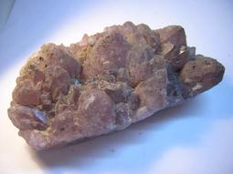 直購品 短裙 新款歐美時尚時裝週經典緹花蓬蓬大裙擺碎花短裙 歷史價格詳細信息