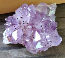 【呼嚕嚕】非洲 天然小葉紫檀木藍眼虎寶寶吊飾 歷史價格詳細信息