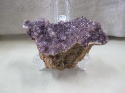 運財智多星/至叻星 DVD收藏版 陳百祥/鐘麗緹/袁詠儀/王敏德 歷史價格詳細信息