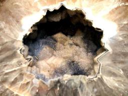 [[晶晶洞洞]]異象變體閃亮結晶.稀有綠水晶洞.重31.7+31.7KG.一對.品像美.型態棒 歷史價格詳細信息