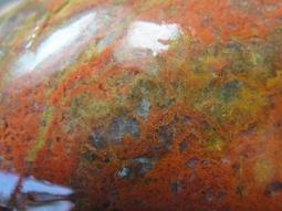 海能量生機護膚潔面露 350g X2入 歷史價格詳細信息