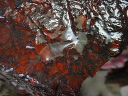 《紀老師的收藏-90B 》頂級溫潤透亮→天然鬆紋綠海草玉髓精雕〈千手觀音→r19  ※正能量-聚氣招財、心想事成、收藏增 歷史價格詳細信息