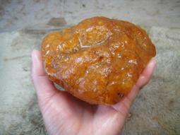 《紀老師的收藏-87 》天然玉原石財位擺件→優質水洗金黃樹化玉〈1450公克→n67      ※具正能量、聚氣招財、心想事成 歷史價格詳細信息