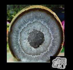 正版- 世界經典家教名著系列（全三冊）（暢銷百年的全球親子教育經典:《卡爾?威特的教育》《斯托夫人的自然教育》《蒙台梭利 歷史價格詳細信息