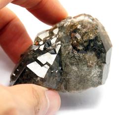 綠，亮了眼[二手書_良好]3311 TAAZE讀冊生活 歷史價格詳細信息