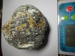 剖開您是我的榮幸 皆川博子 圓神 繁體正版書籍 A03 歷史價格詳細信息