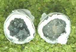 特價出清！愛寶百貨.「封神印.穆原花公主」.庫存出清書.吳騰飛.恆禾文化 歷史價格詳細信息