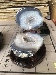 【Dep】高壓噴水洗車水槍 洗車高壓噴槍 花園澆花增壓水槍 伸縮水管7.5米(洗車槍/洗車機/電動洗車機) 歷史價格詳細信息