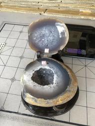 【Dep】高壓噴水洗車水槍 洗車高壓噴槍 花園澆花增壓水槍 伸縮水管7.5米(洗車槍/洗車機/電動洗車機) 歷史價格詳細信息