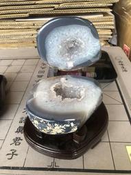 【Dep】高壓噴水洗車水槍 洗車高壓噴槍 花園澆花增壓水槍 伸縮水管7.5米(洗車槍/洗車機/電動洗車機) 歷史價格詳細信息