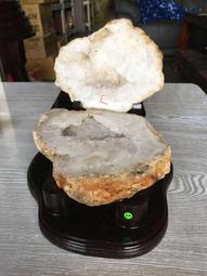 AES Were Always Here T-Shirt M號 (已售出) 歷史價格詳細信息