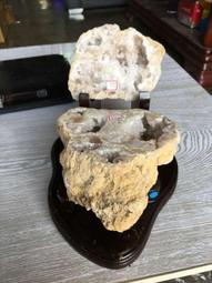 AES Were Always Here T-Shirt M號 (已售出) 歷史價格詳細信息