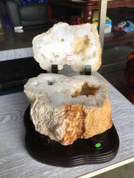 AES Were Always Here T-Shirt M號 (已售出) 歷史價格詳細信息