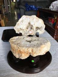 AES Were Always Here T-Shirt M號 (已售出) 歷史價格詳細信息