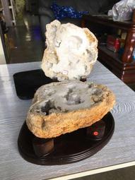 AES Were Always Here T-Shirt M號 (已售出) 歷史價格詳細信息