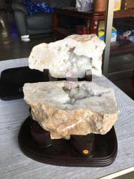 AES Were Always Here T-Shirt M號 (已售出) 歷史價格詳細信息