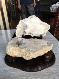 AES Were Always Here T-Shirt M號 (已售出) 歷史價格詳細信息