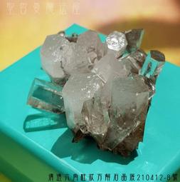 蓮花清火牙羔下火美白三七花清新口氣中Yao護齦怕上火亮白去漬去黃 歷史價格詳細信息