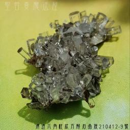 蓮花清火牙羔下火美白三七花清新口氣中Yao護齦怕上火亮白去漬去黃 歷史價格詳細信息