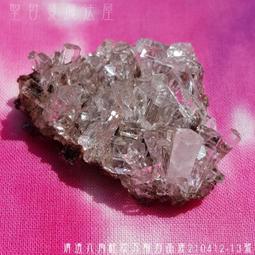 蓮花清火牙羔下火美白三七花清新口氣中Yao護齦怕上火亮白去漬去黃 歷史價格詳細信息