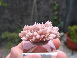 【稀有、附牛角】LEGO 7637 City 樂高 城市 動物 農場 白色 黑斑 動物 牛 母牛 乳牛 Cow 歷史價格詳細信息