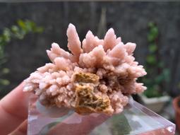 【稀有、附牛角】LEGO 7637 City 樂高 城市 動物 農場 白色 黑斑 動物 牛 母牛 乳牛 Cow 歷史價格詳細信息