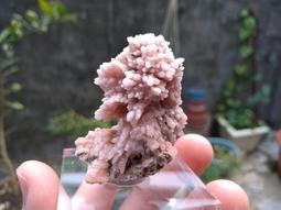 【稀有、附牛角】LEGO 7637 City 樂高 城市 動物 農場 白色 黑斑 動物 牛 母牛 乳牛 Cow 歷史價格詳細信息